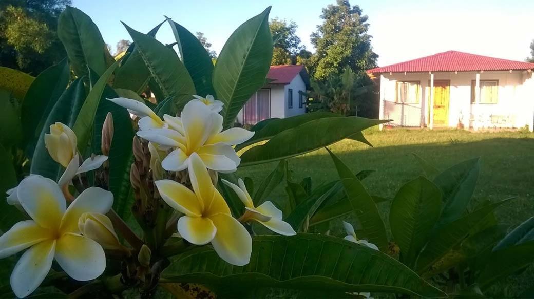 Cabanas Isla De Pascua هانجا روا المظهر الخارجي الصورة